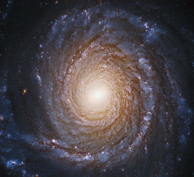 Image Credit : NASA
