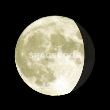 Waning Gibbous (下弦の十三夜月) SPACEDOOR