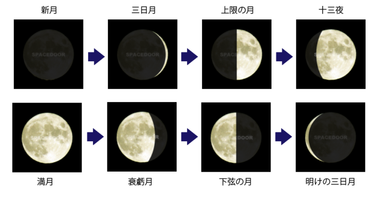 【満月の名前 完全ガイド】なぜ「ビーバームーン」と呼ぶ?日本と世界のロマンチックな月の呼び名とその由来を徹底解説毎月